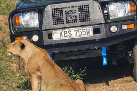 Nairobi: Nairobi National Park Safari with Guide