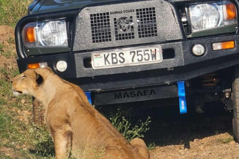 Nairobi: Nairobi National Park Safari with Guide