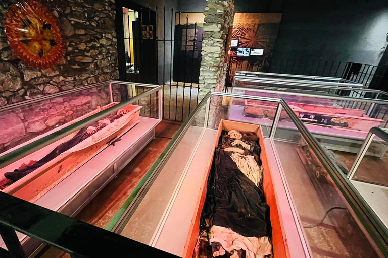 Wycieczka z przewodnikiem, transferem i biletami wstępu na wyprawę ArteagaMonterrey: Wycieczka z przewodnikiem po Arteaga, Coahuila