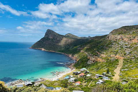 Cape of Good Hope & African Penguins Small Group Tour