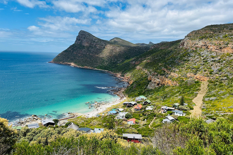 Cape of Good Hope & African Penguins Small Group Tour