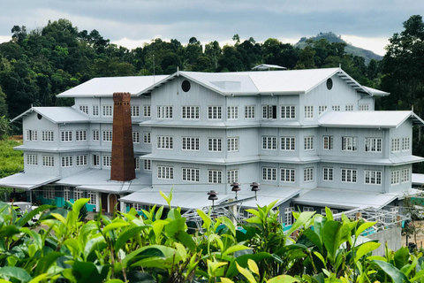 From Colombo: Kandy and Pinnawala Elephant Orphanage TourFrom Colombo: Kandy Day Tour