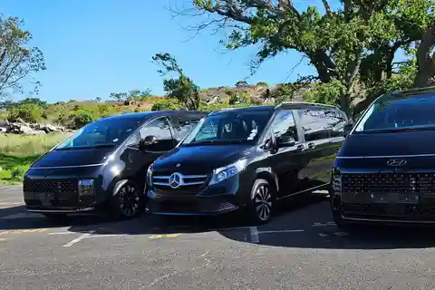 Cidade do Cabo: Serviço de motorista privado de dia inteiro