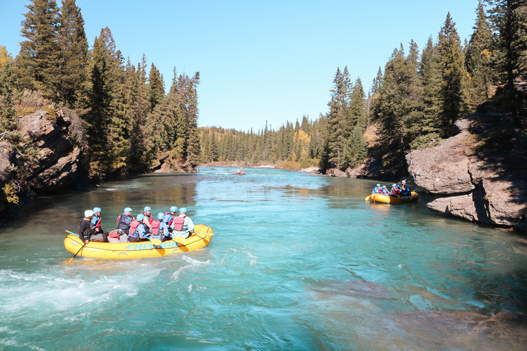 Banff: Kananaskis River Whitewater Rafting Tour på eftermiddagen