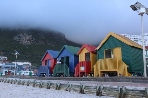 Ciudad del Cabo: Excursión de un día en grupo reducido a Cape Point y Boulders Beach
