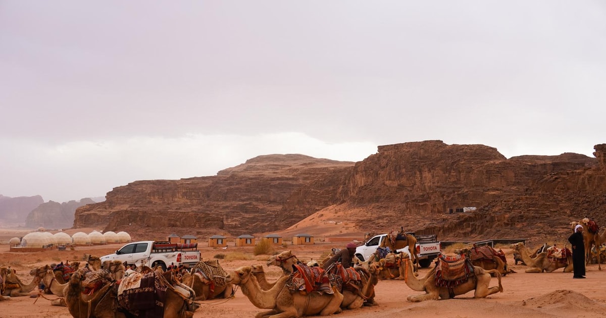 Wadi Rum: 1 times kameltur med en beduin-guide | GetYourGuide