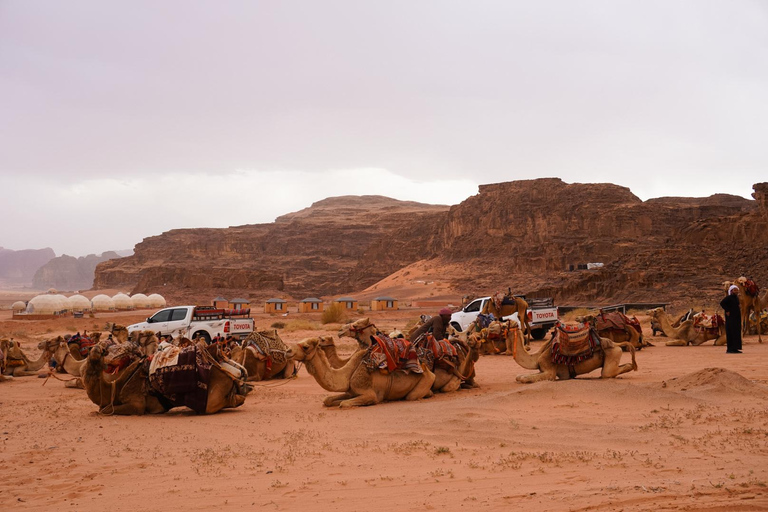 Wadi Rum: 1 Hour Camel Ride with a Bedouin Guide Wadi Rum: 4 Hour Camel Ride with a Bedouin Guide and Tea