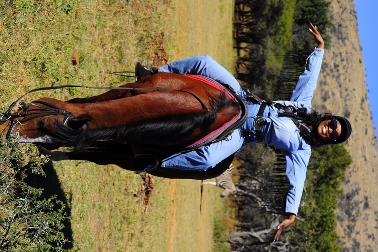 Magaliesberg Horseback Wildlife Safari From Johannesburg