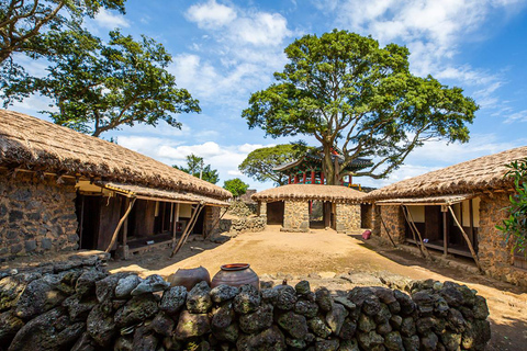 Jeju: UNESCO South & East Highlights 2 Days Combo Tour
