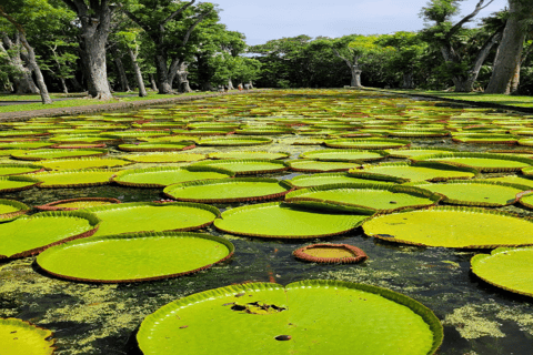 Excursión por el norte de Mauricio incl. Port Louis y Jardín Botánico