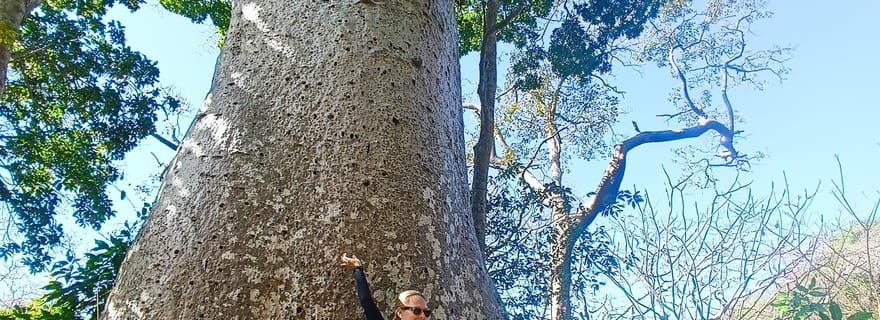 From Nosy Be: Mitsio Archipelago 3-Day Tour with Snorkeling