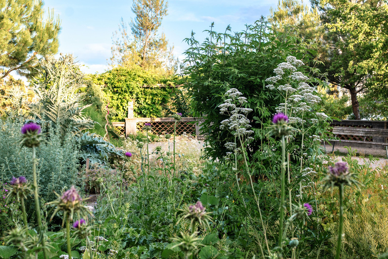 Zürich: A Walk Through Zurich's Secret Green City Group Tour