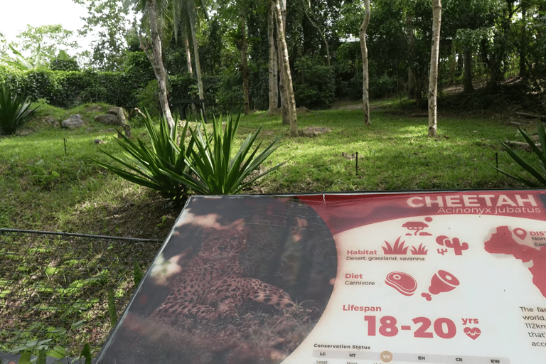 Cebu Safari: Experience Wildlife Up Close