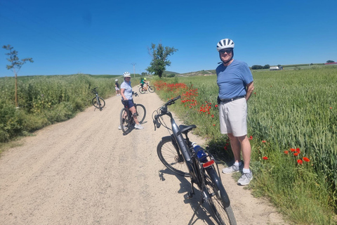Cicloturismo en La Rioja: La ruta del vino