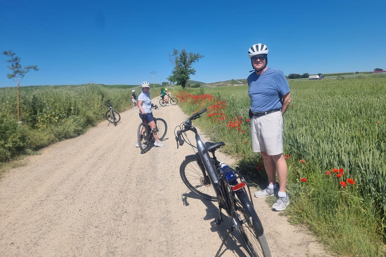 Cicloturismo en La Rioja: La ruta del vino