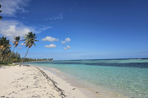 VIP tour to Saona Island by speedboat with a visit to paradise beaches SAONA ISLAND VIP SPANISH