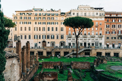 Rome from Civitavecchia: Colosseum, Vatican, and Historic Old Town by Minivan Shared tour in a small group of 8 people