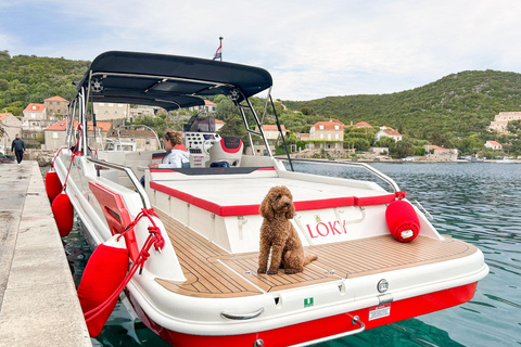 From Dubrovnik/Cavtat: Blue Cave, Sunj Beach Speed Boat TourFrom Cavtat