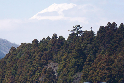 From Tokyo: Mount Fuji Full Day Customizable Private Tour