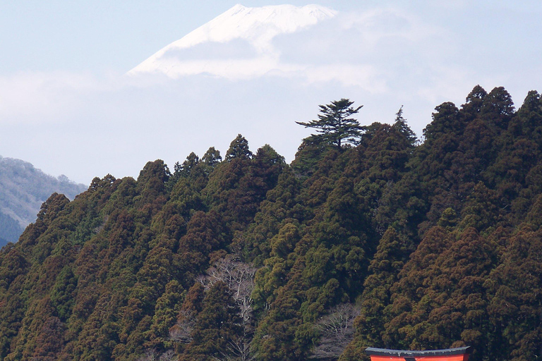 From Tokyo: Mount Fuji Full Day Customizable Private Tour