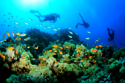 Zanzibar : Snorkeling a tumbatu - Barco Privado