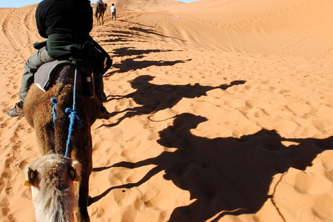 Sunset Buggy Adventure with Camel Ride and Moroccan Tea Shared Buggy Offer