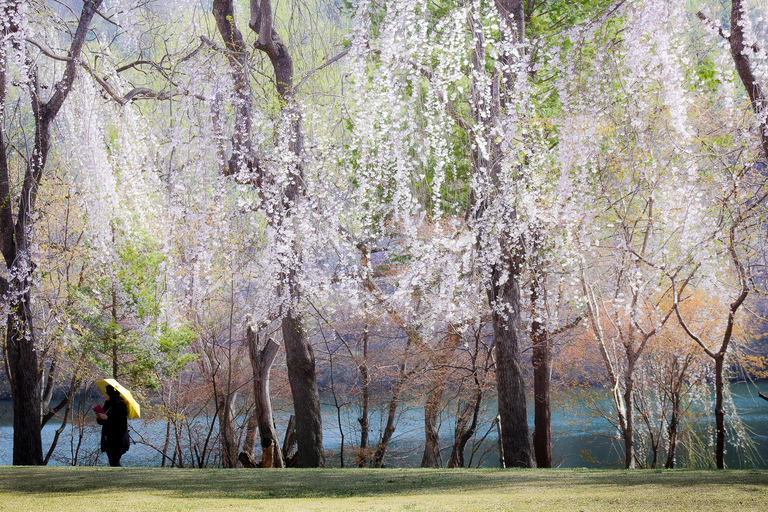 Gapyeong: Highlights Private Car Tour with English Driver Per vehicle(Group of 5-8pax)