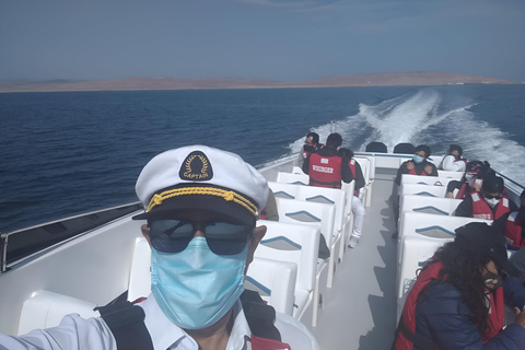 Lima: escursione di un giorno all&#039;oasi di Paracas e Huacachina con vino e dune