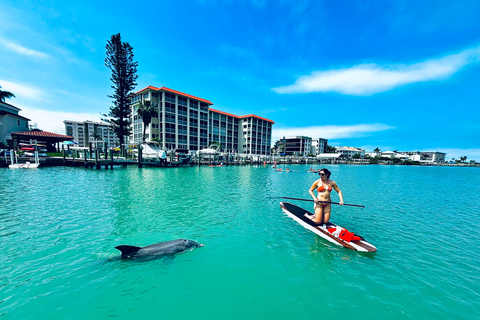 Fort Myers Dolphin & Manatee Kayak or Paddleboard Tour