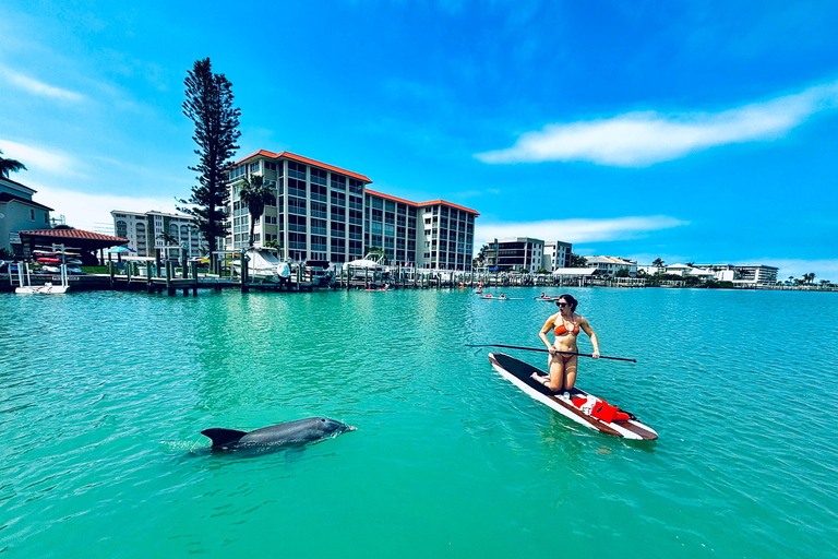 Fort Myers Dolphin & Manatee Kayak or Paddleboard Tour