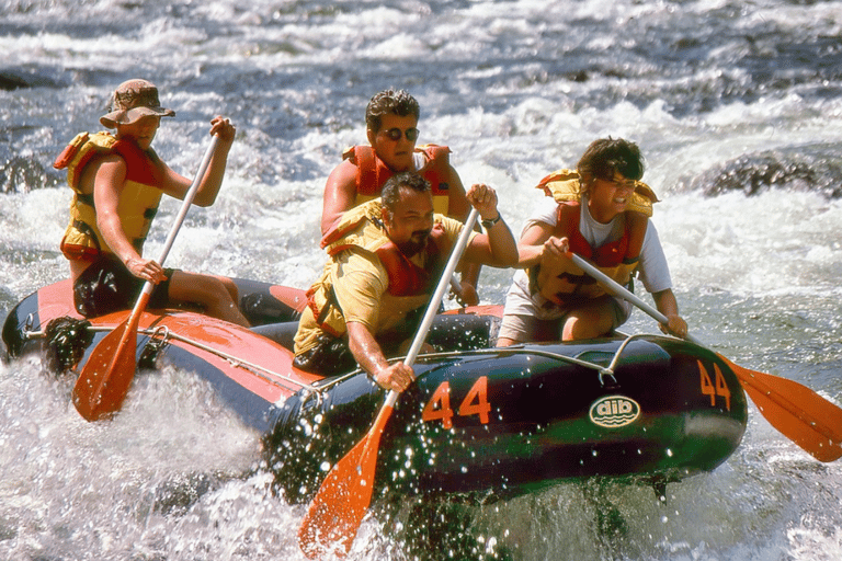 Sri Lanka: Wildwasser-Rafting und Abenteuer-Tagesausflug($40 PP)