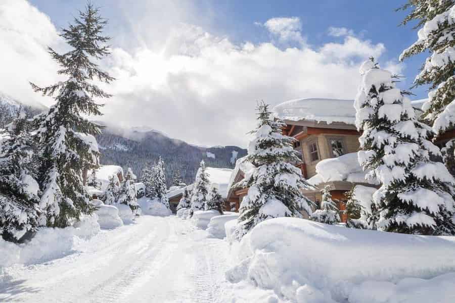 Las Vegas: Ultimatives Schneespiel-Abenteuer am Mount Charleston. Foto: GetYourGuide