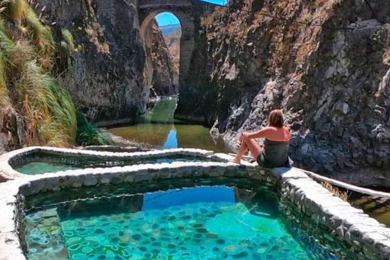 Arequipa: Colca Canyon 1-Tages-Tour mit Guide | Kondorflug |