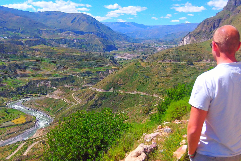 Arequipa: 2-day tours of Colca Canyon with a homestay in a local family's house Arequipa: 2-day tours of Colca Canyon with homestay in a local family's house