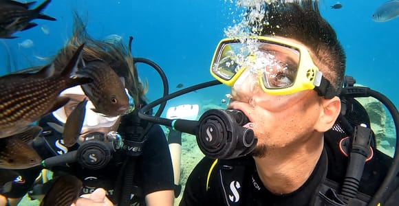 Paralimni, Protaras: Small-Group Scuba Diving for Beginners