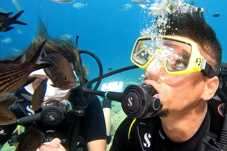 Paralimni, Protaras: Scuba Diving for Beginners! Best place