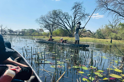From Maun: Okavango Delta Mokoro Day Trip with Nature Walk