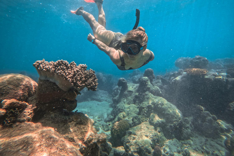 From Cairns: 2 Islands 1 day - Fitzroy & Green Islands Two Islands with Snorkel Gear