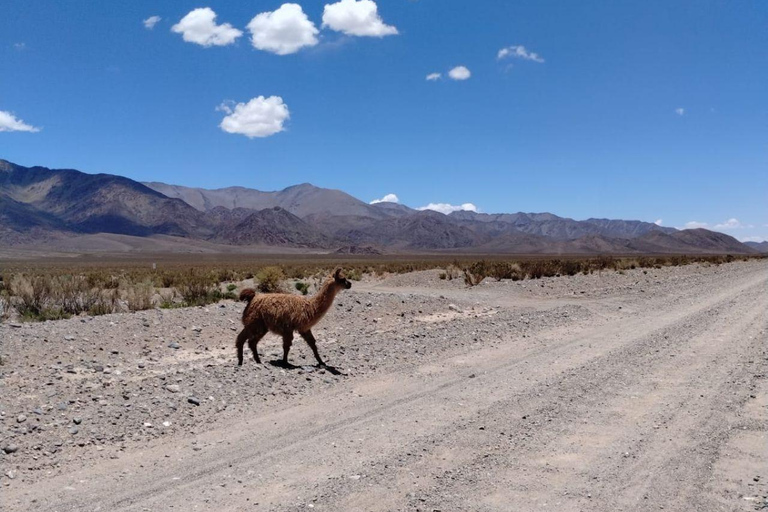 Salinas Grandes + Hornocal 2-day tour