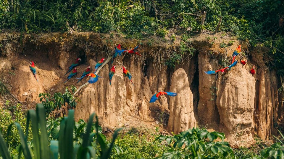 From Cusco, Manu National Park 3Days - Housity