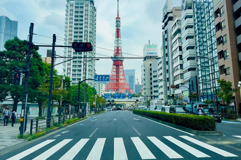 Tour de día completo por la ciudad de Tokio con recogida y regreso