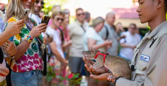 Apopo HeroRATs Visit & SAI Airport Transfer