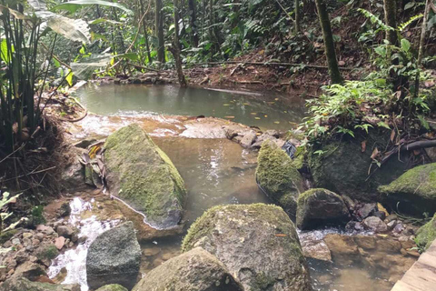 Osservazione degli uccelli TUTTO incluso - Da Medellín