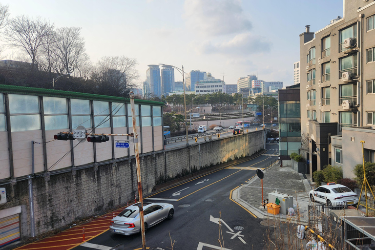 Seúl: Servicios de un lugareño por un día (Trámites/Tour/Diversión)