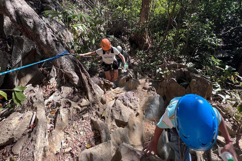 El Nido: AM/PM Guided Canopy Walk