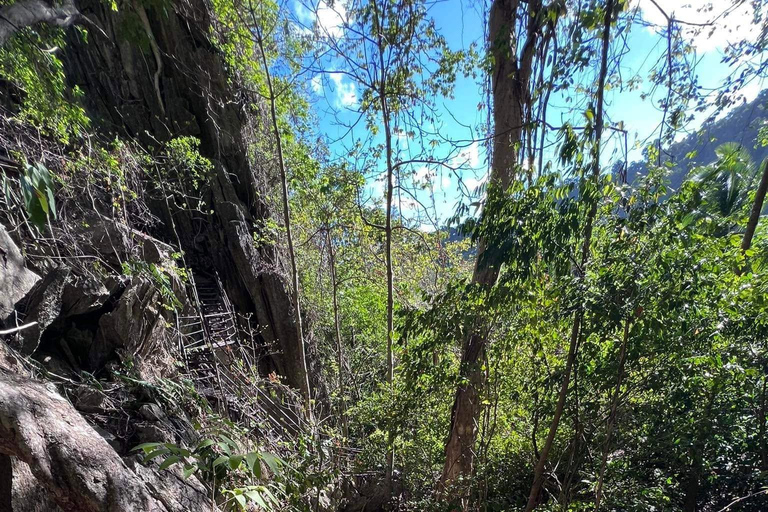 El Nido: AM/PM Guided Canopy Walk