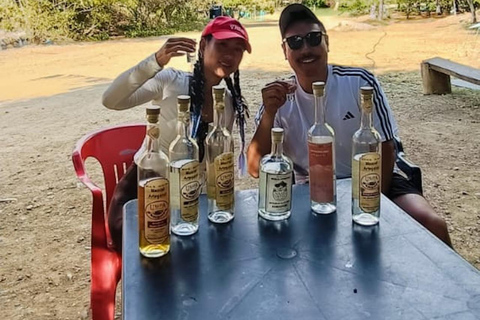 Oaxaca: Wild Agave Mountain Hike with Trail-Side Tasting