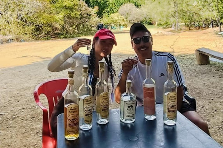 Oaxaca: Wild Agave Mountain Hike with Trail-Side Tasting