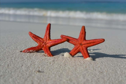 ZANZIBAR: Stone Town, zeesterren, met lagune en de rotsPRIVÉTOUR MET TRANSFER INBEGREPEN