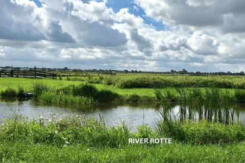 Rotterdam countryside on the wheels - bike tour around city